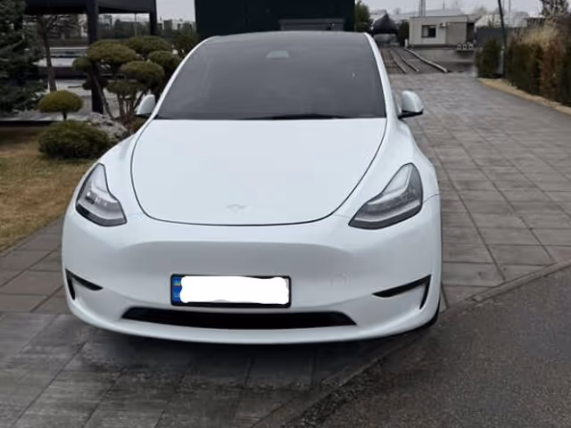 Tesla Model Y - фото 1