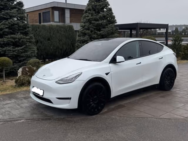 Tesla Model Y - фото 2
