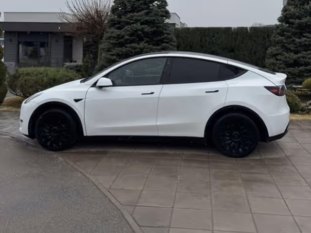 Tesla Model Y - фото 4