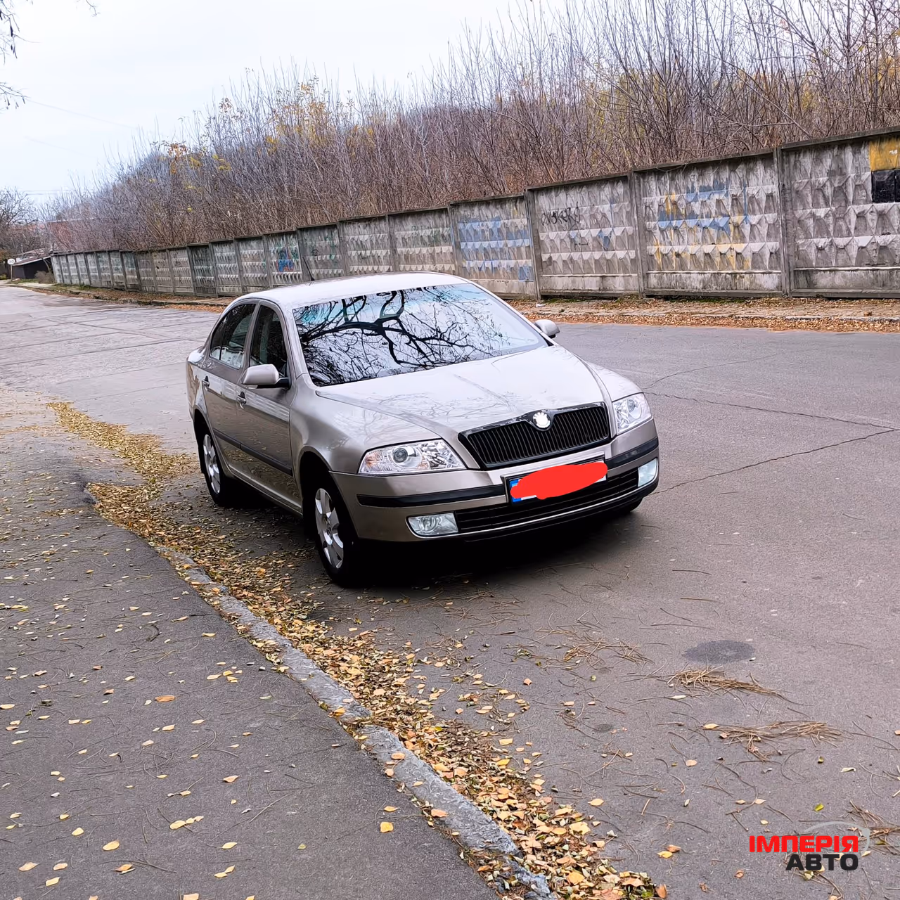 Skoda Octavia - фото 1