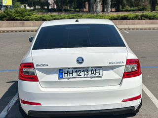 Фото 5