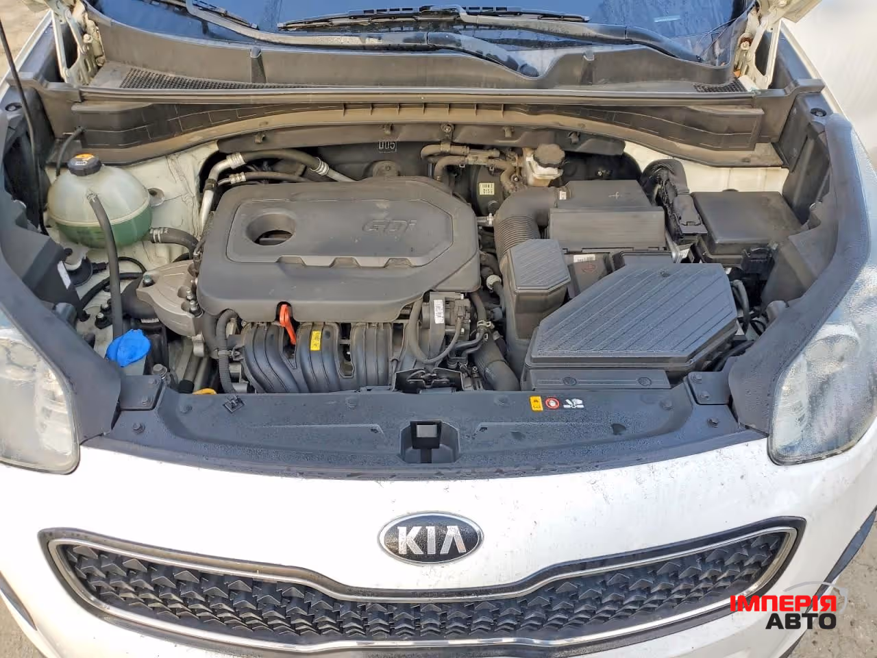 Kia Sportage - фото 12