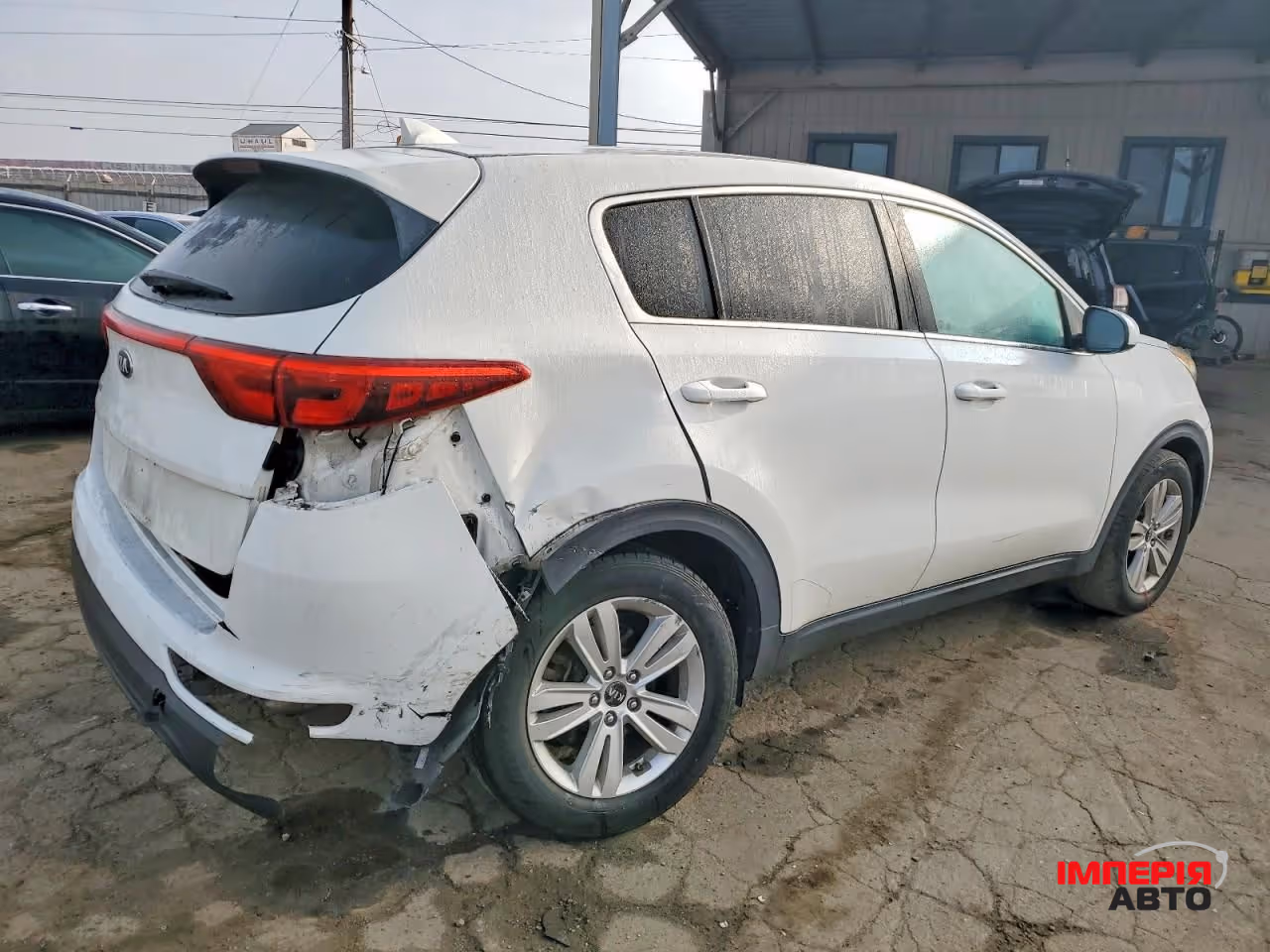 Kia Sportage - фото 6