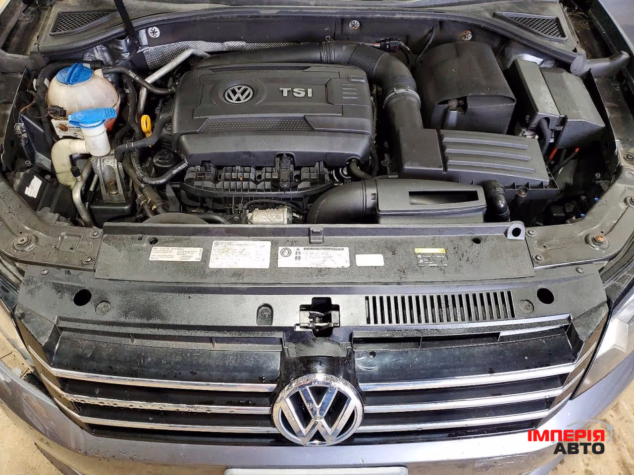 Volkswagen Passat - фото 11