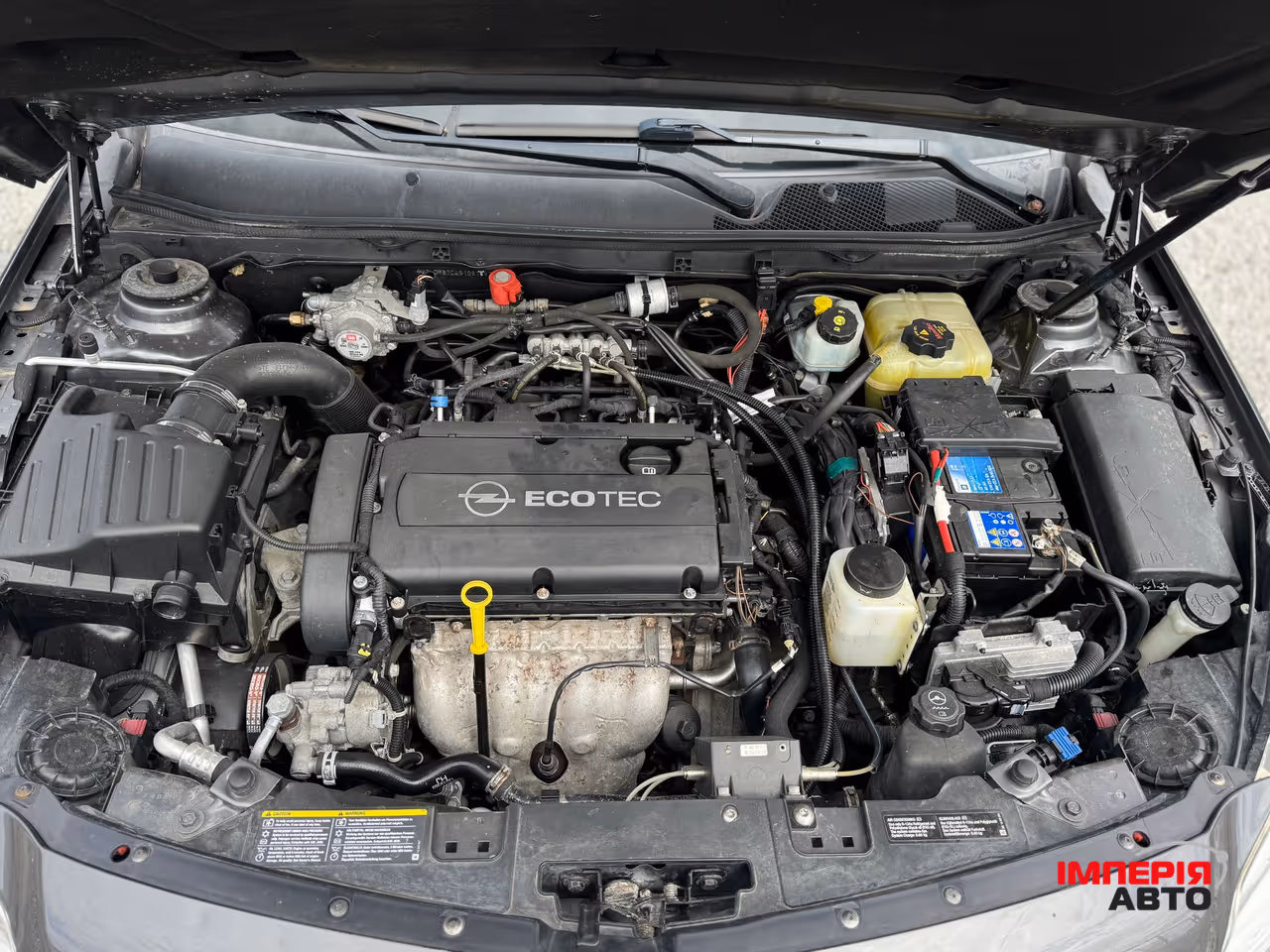 Opel Insignia - фото 8