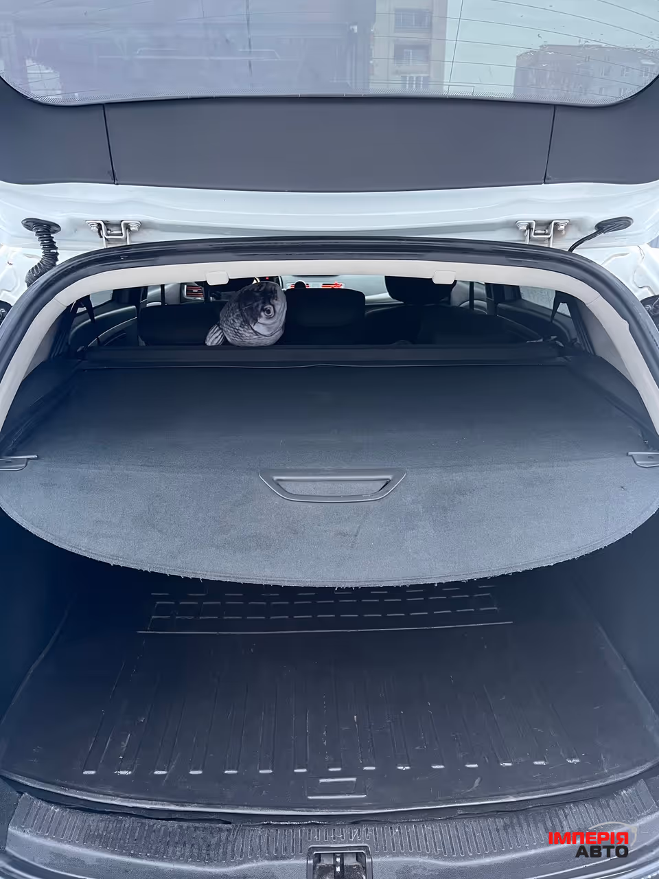 Renault Megane - фото 18