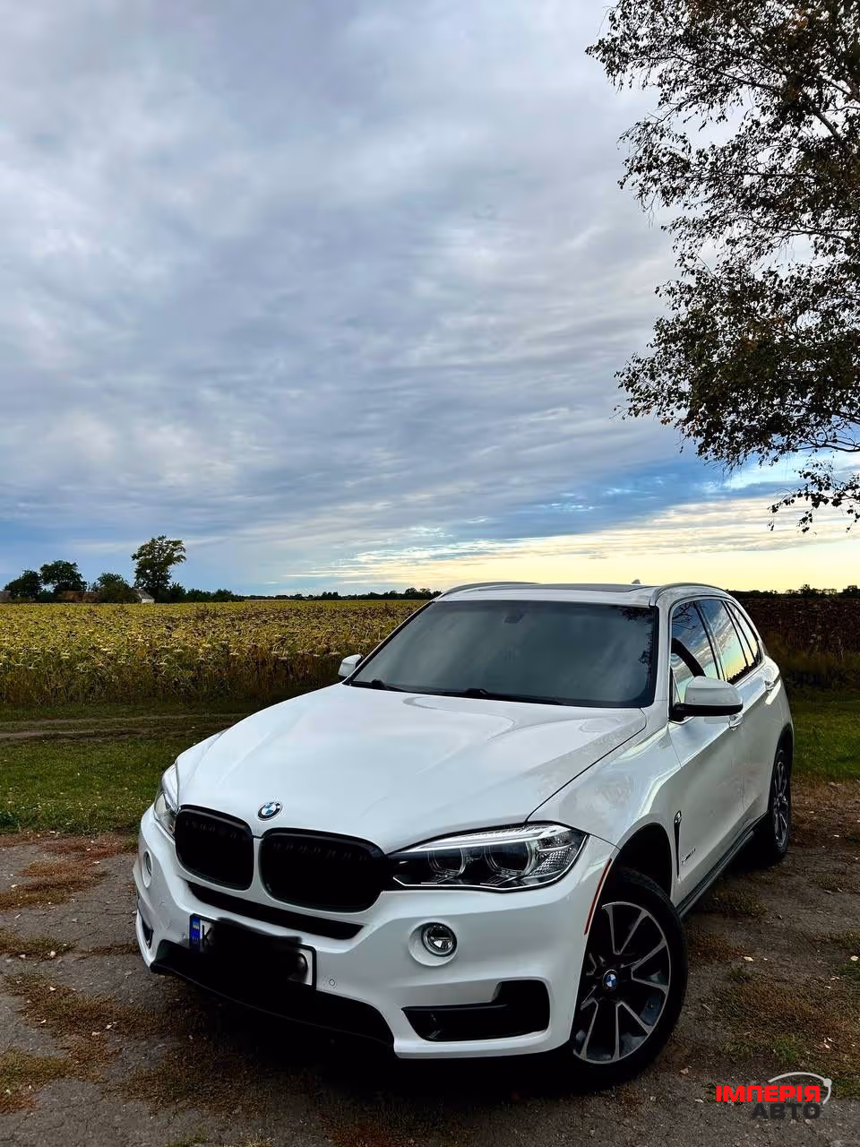 BMW X5 - фото 4