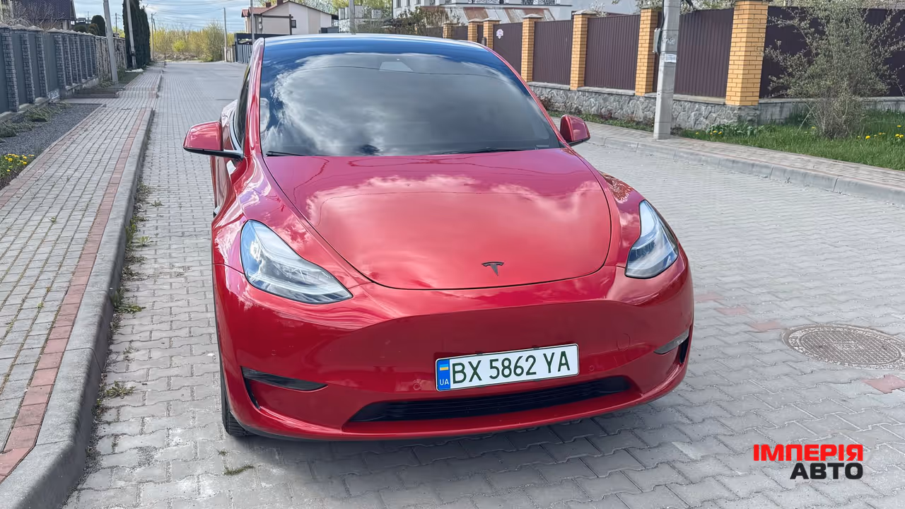 Tesla Model Y - фото 1
