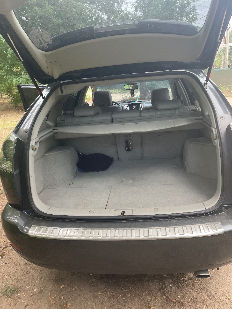 Lexus RX - фото 6