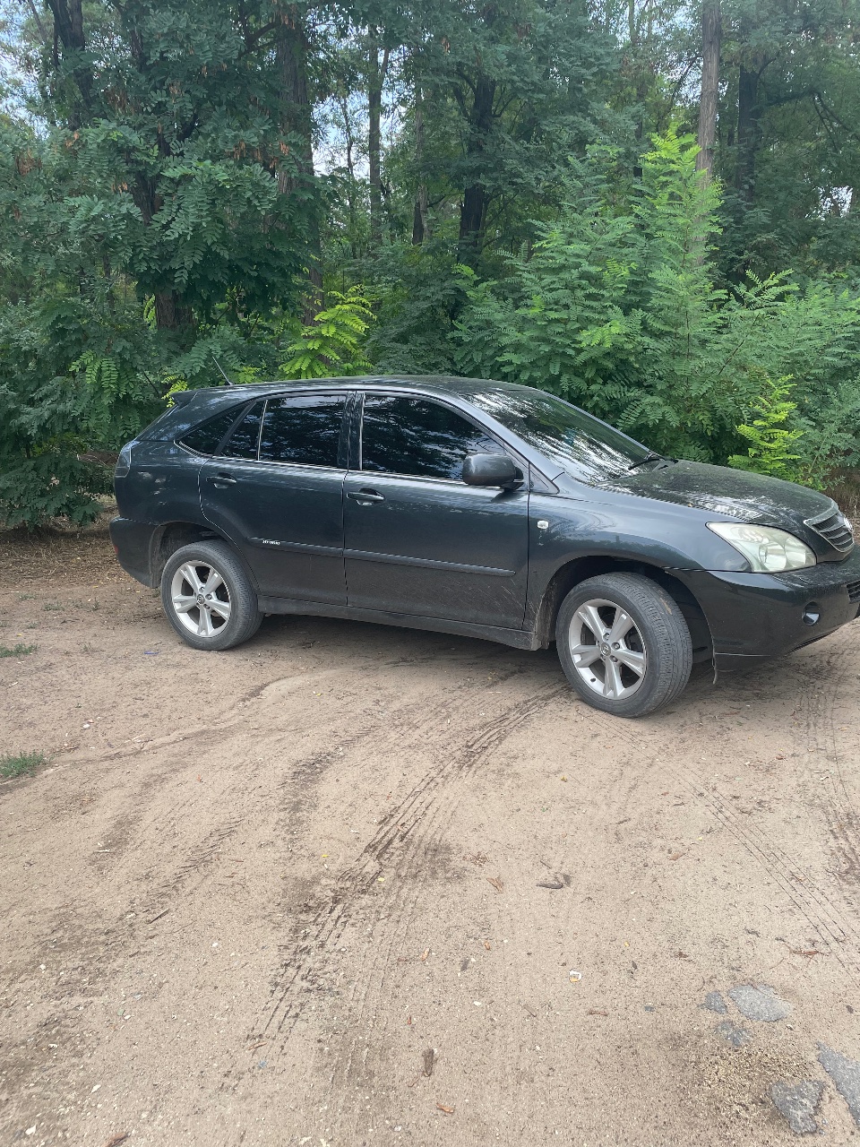 Lexus RX - фото 18