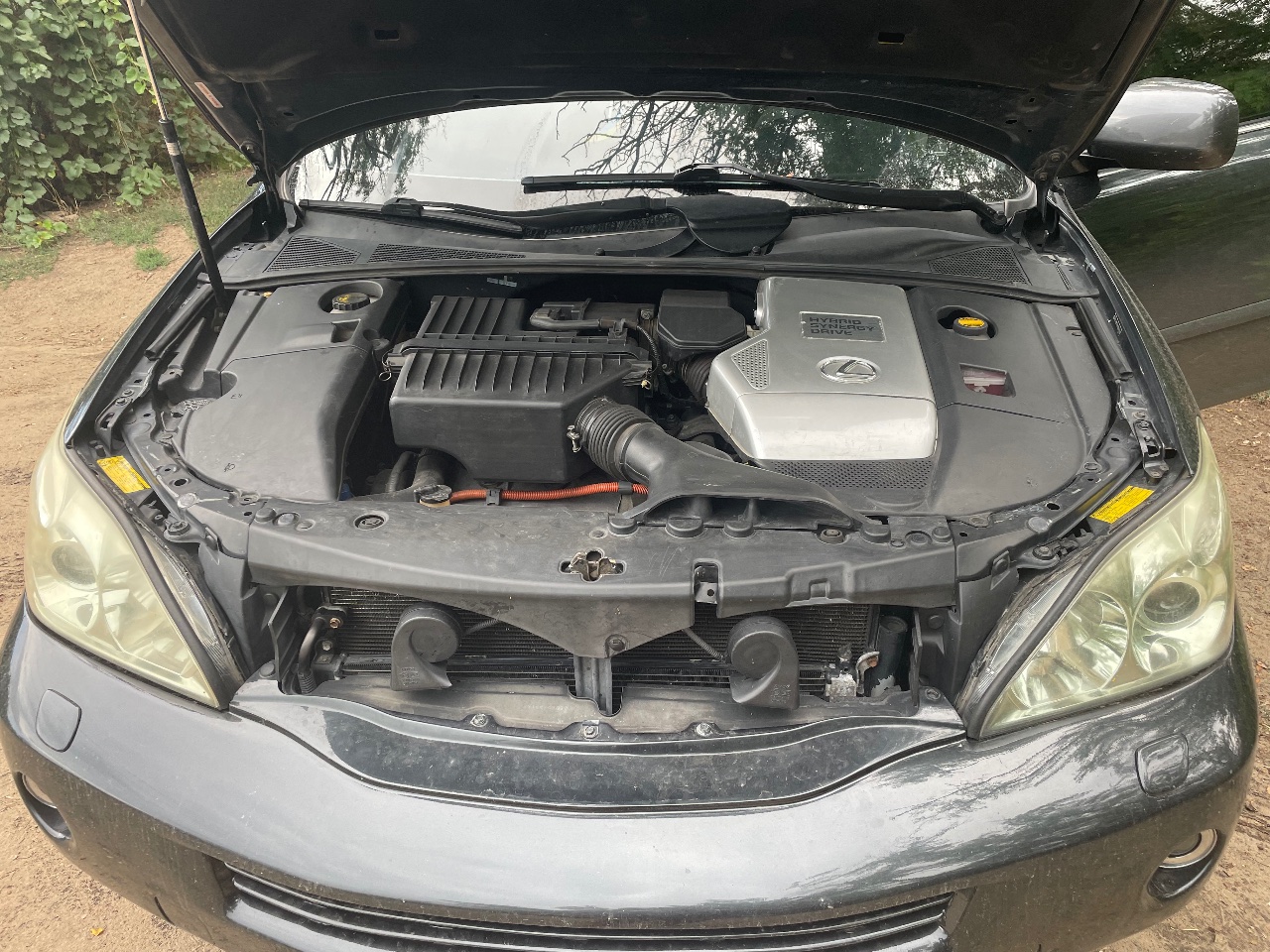 Lexus RX - фото 15