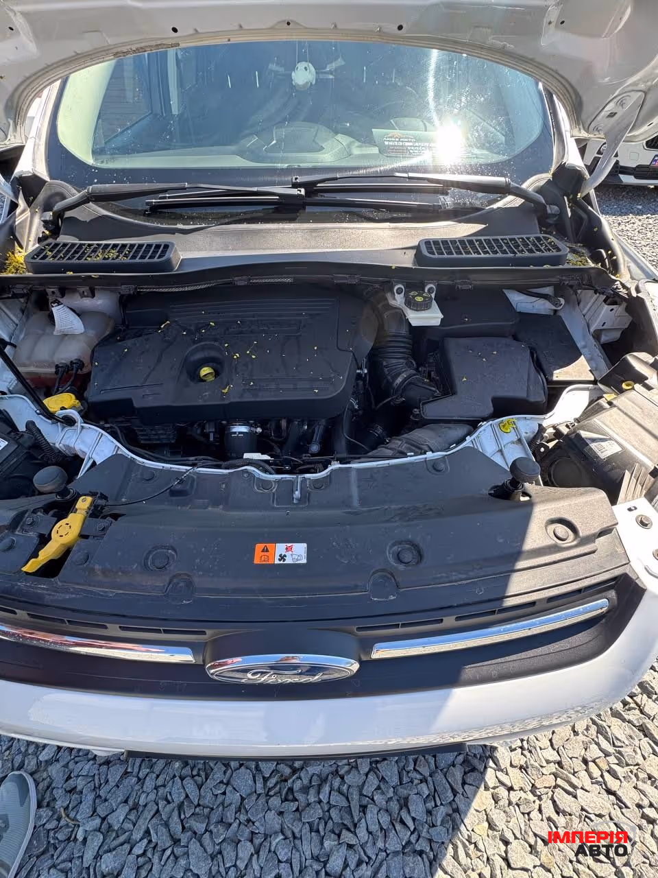 Ford Kuga - фото 34