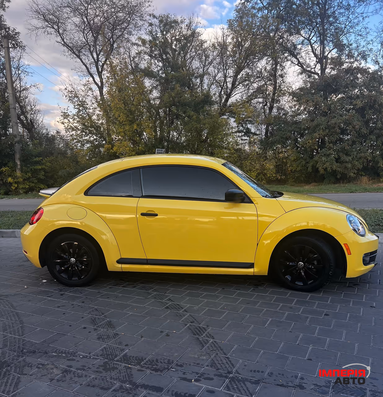Volkswagen Beetle - фото 2