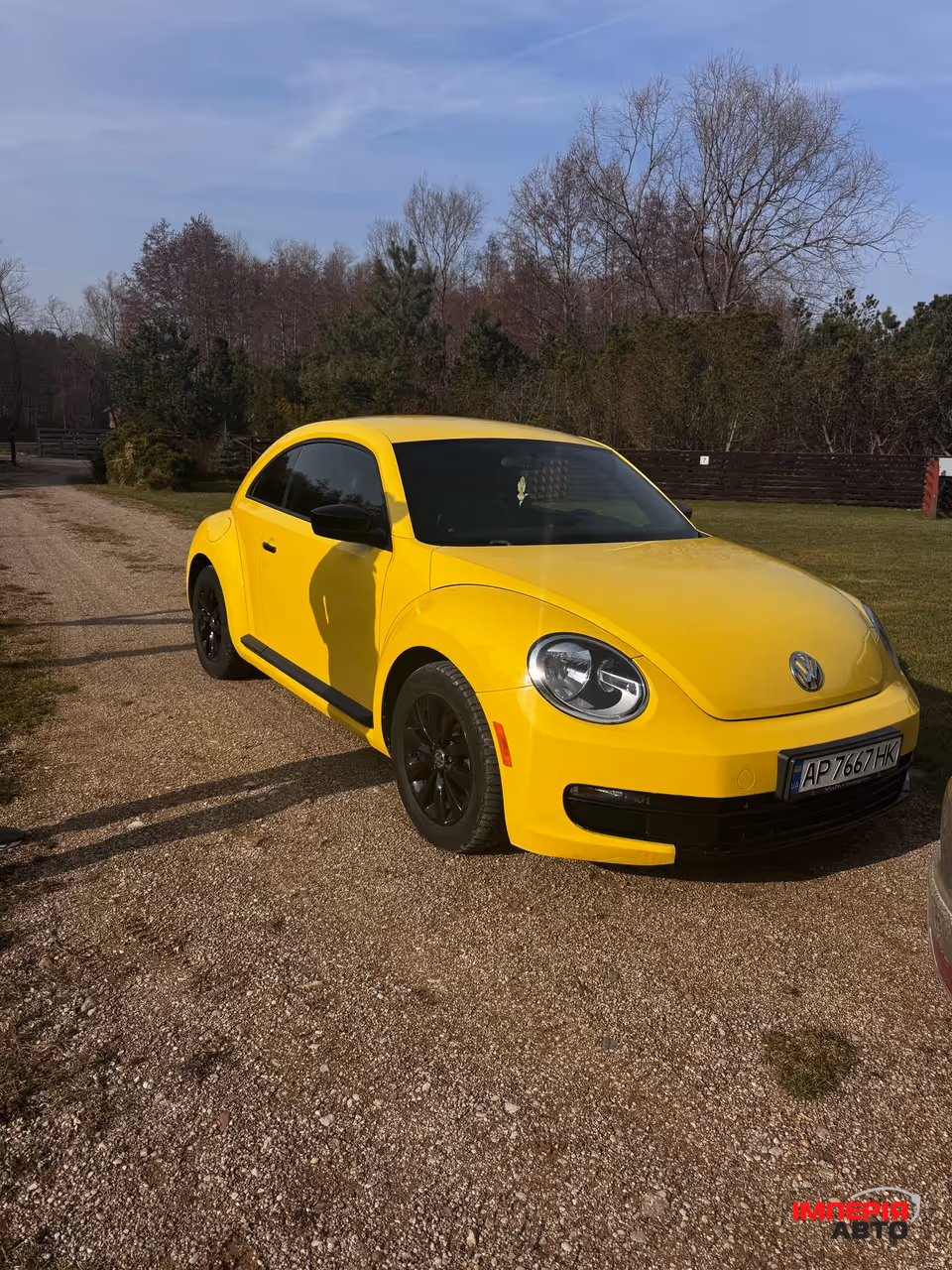 Volkswagen Beetle - фото 1
