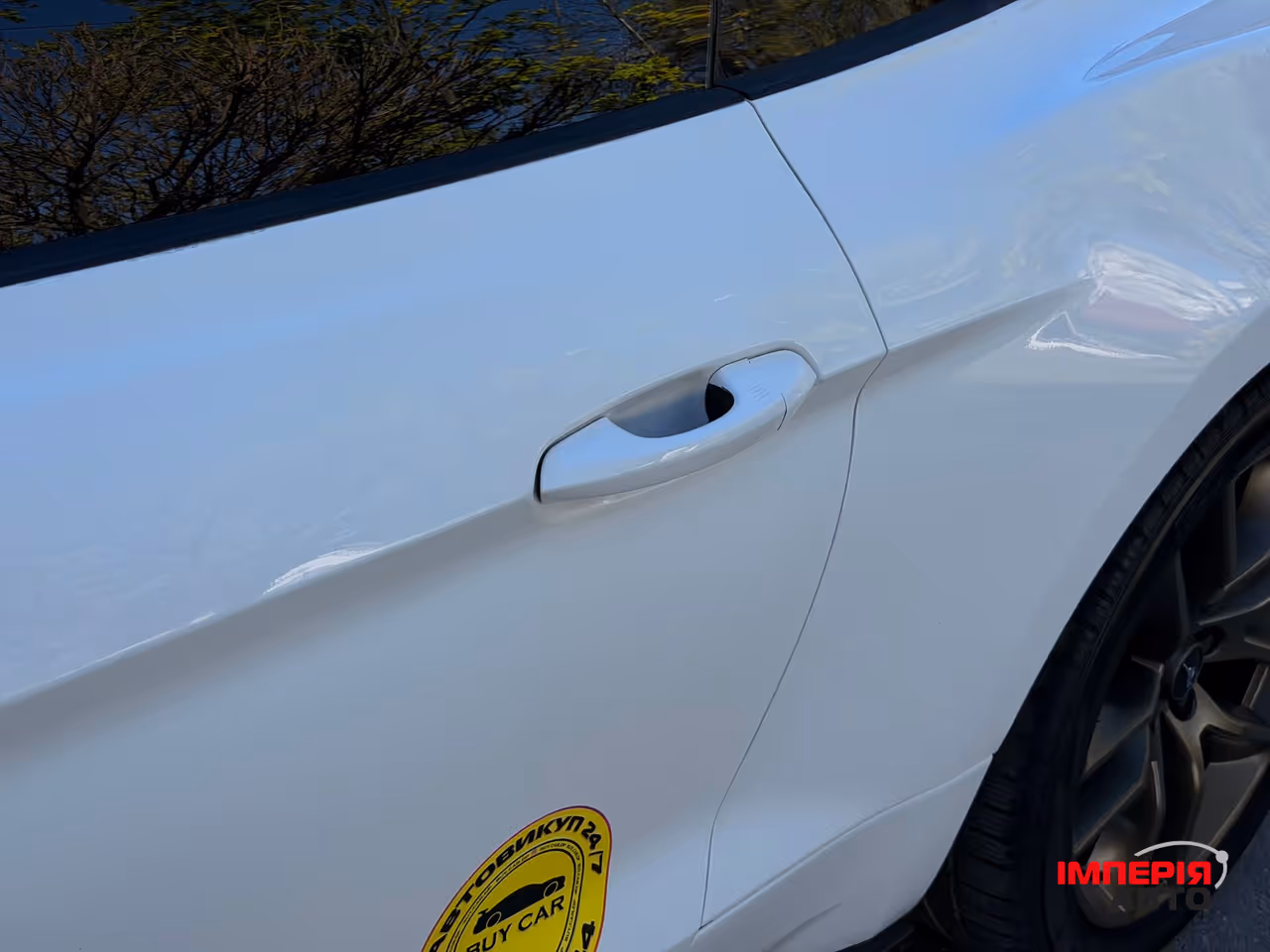Ford Mustang - фото 22