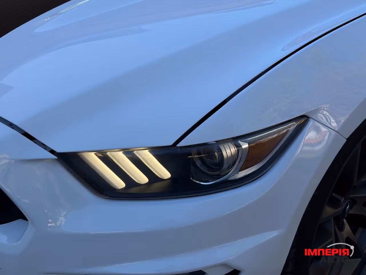 Ford Mustang - фото 15