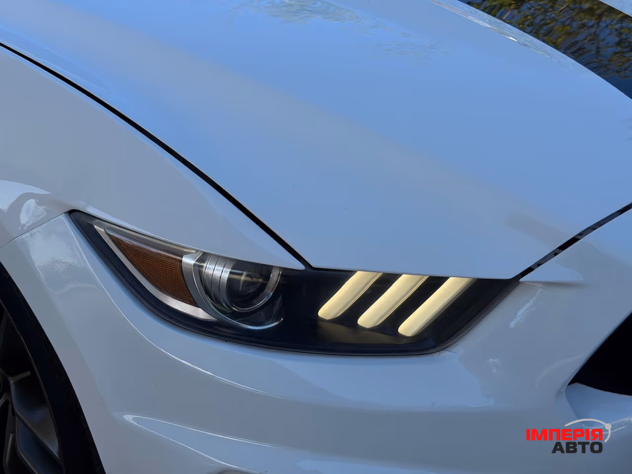Ford Mustang - фото 26