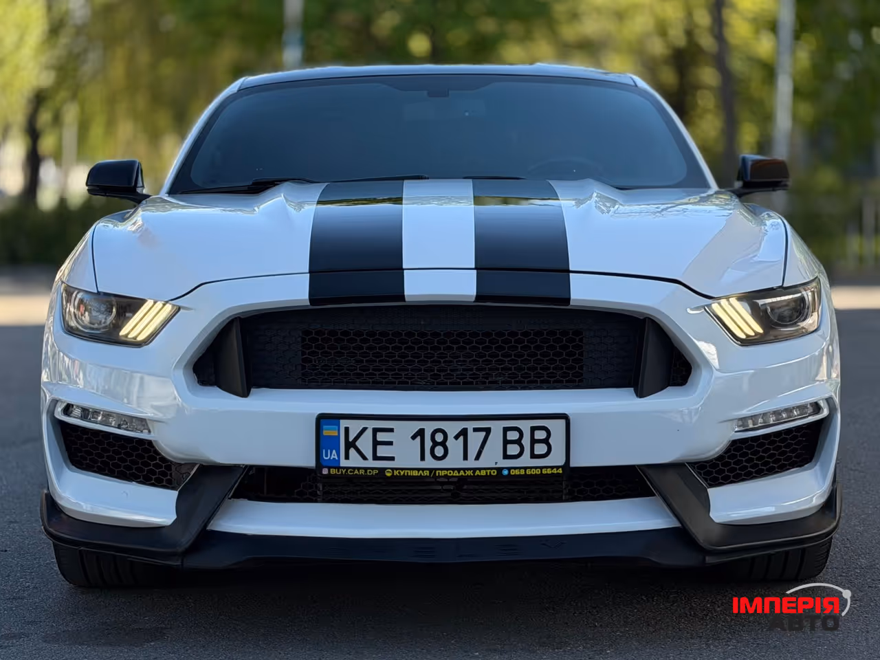Ford Mustang - фото 8
