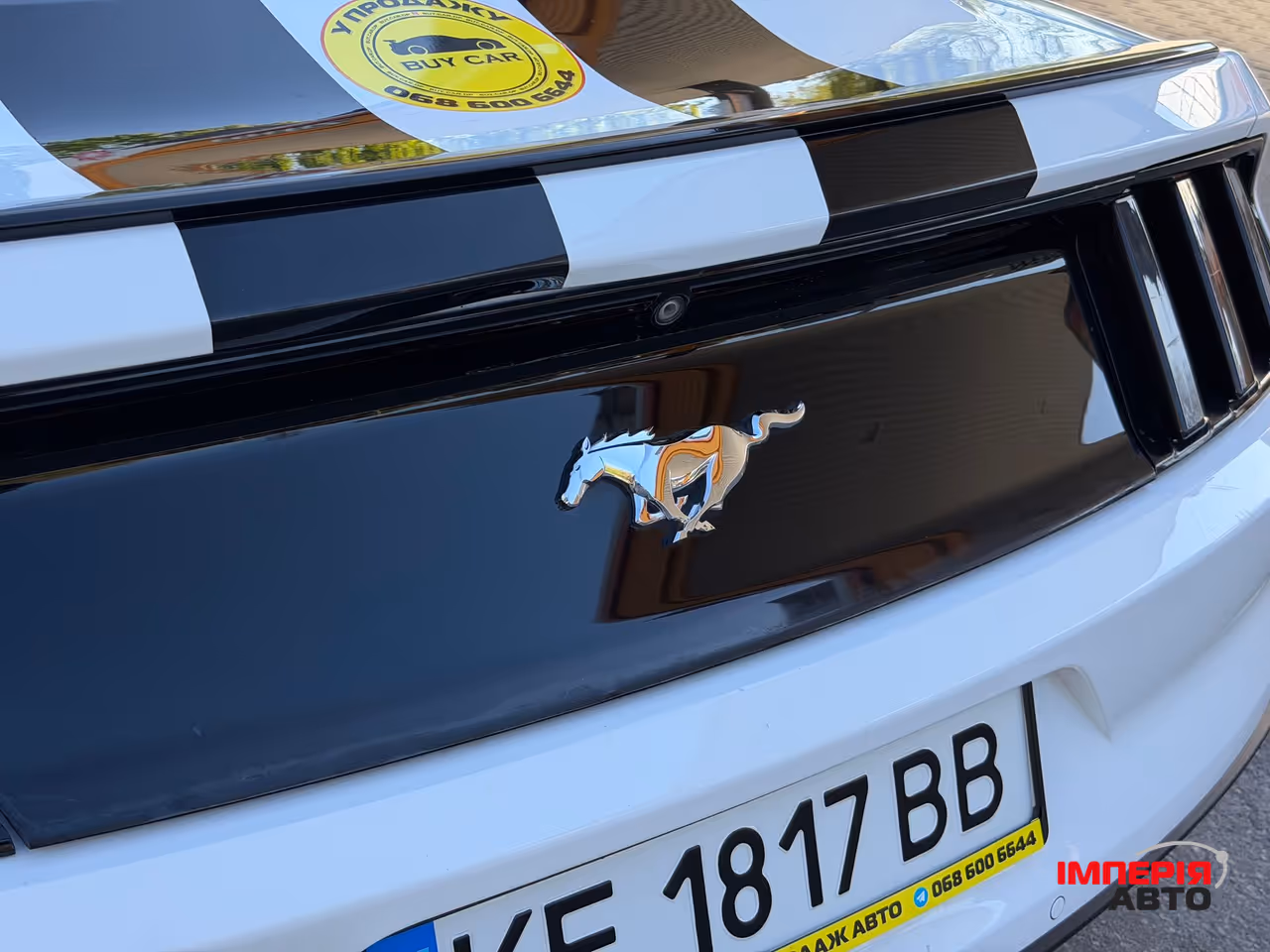 Ford Mustang - фото 25