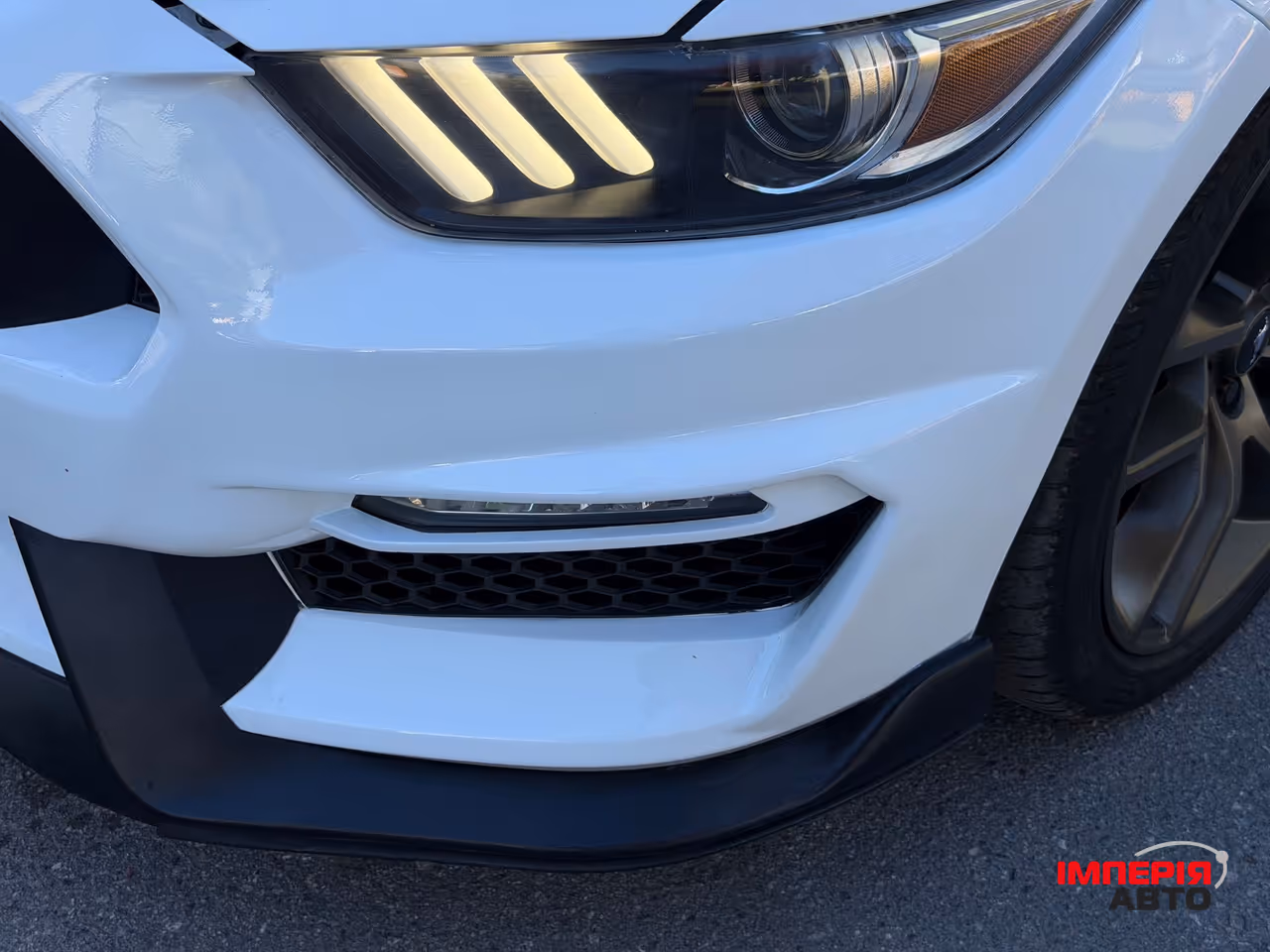 Ford Mustang - фото 16