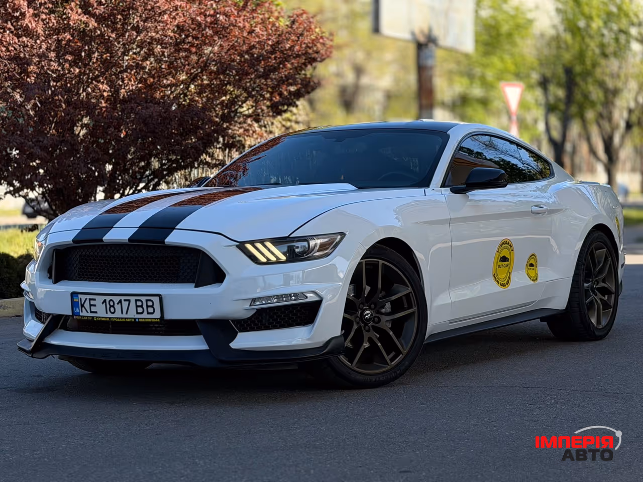 Ford Mustang - фото 1
