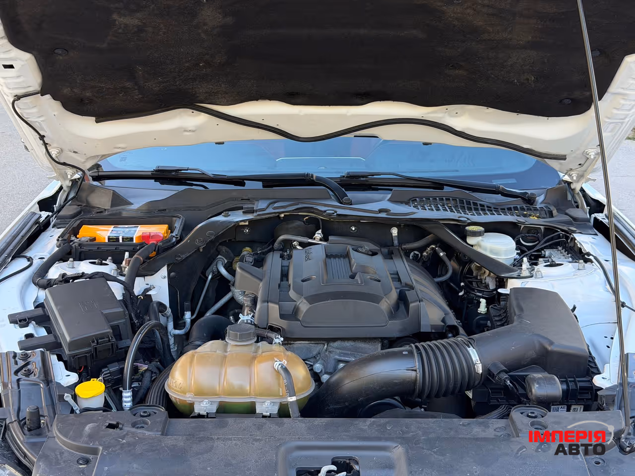Ford Mustang - фото 11