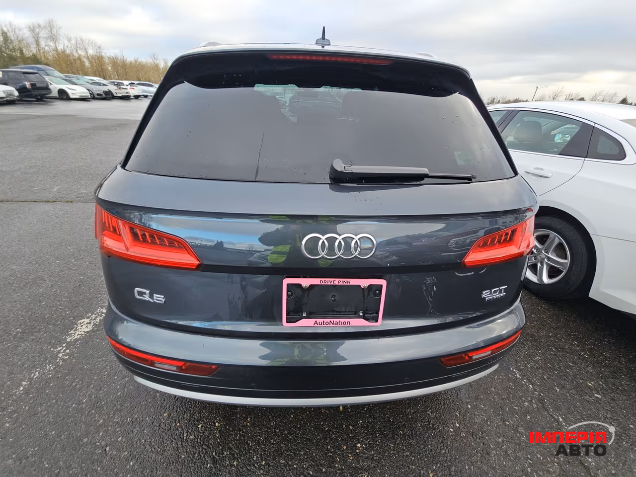 Audi Q5 - фото 5