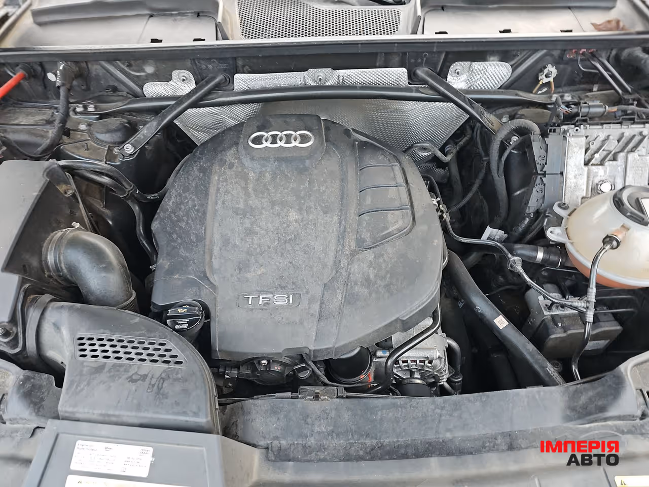 Audi Q5 - фото 14