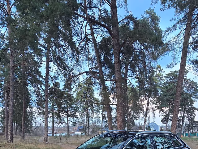 Audi A3 - фото 1