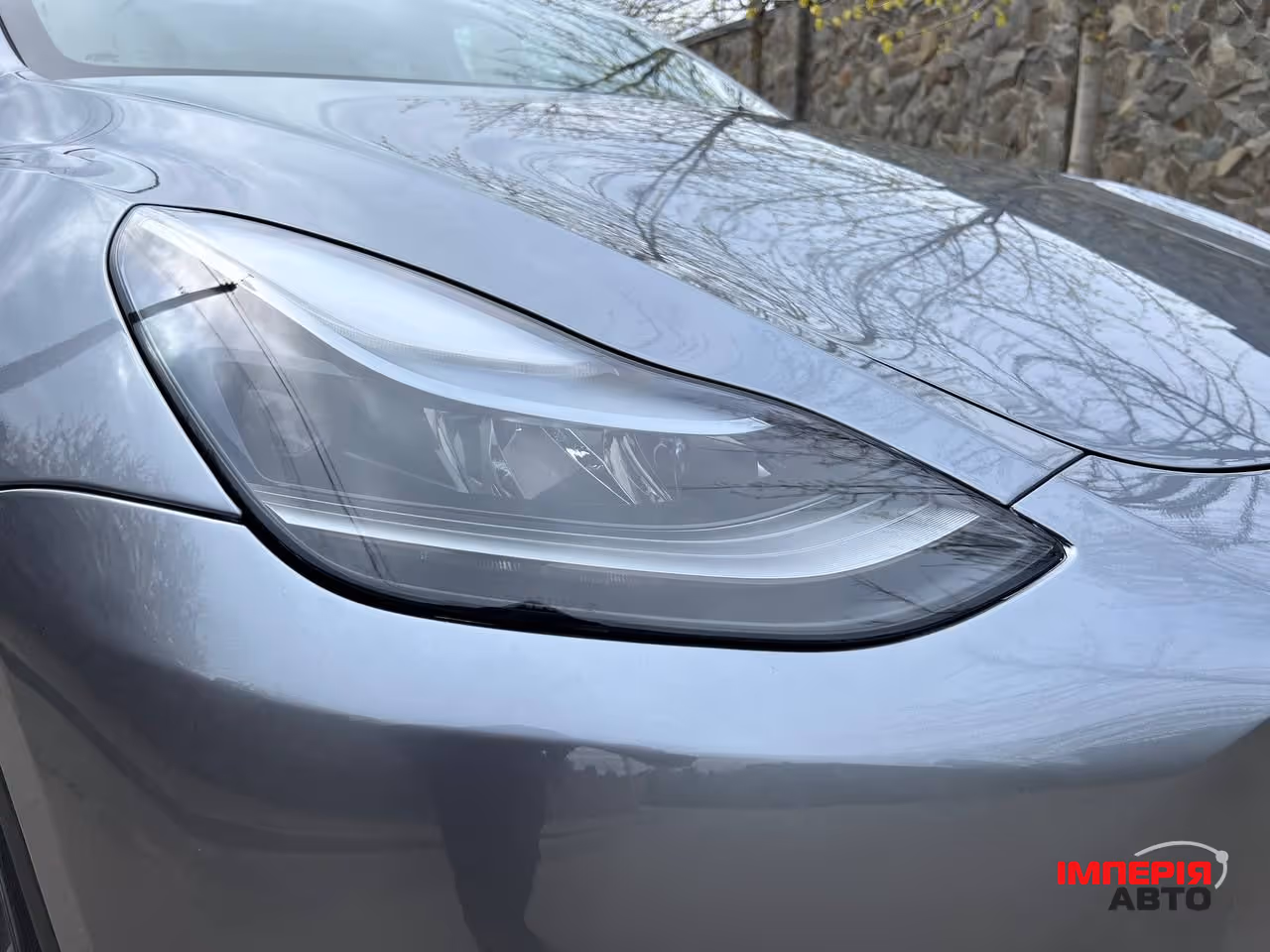 Tesla Model Y - фото 4