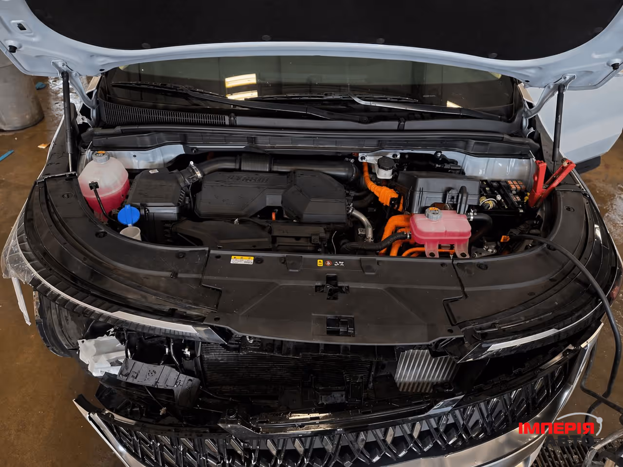 Kia Carnival - фото 12