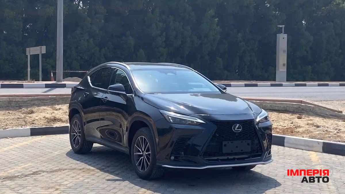 Lexus NX - фото 2