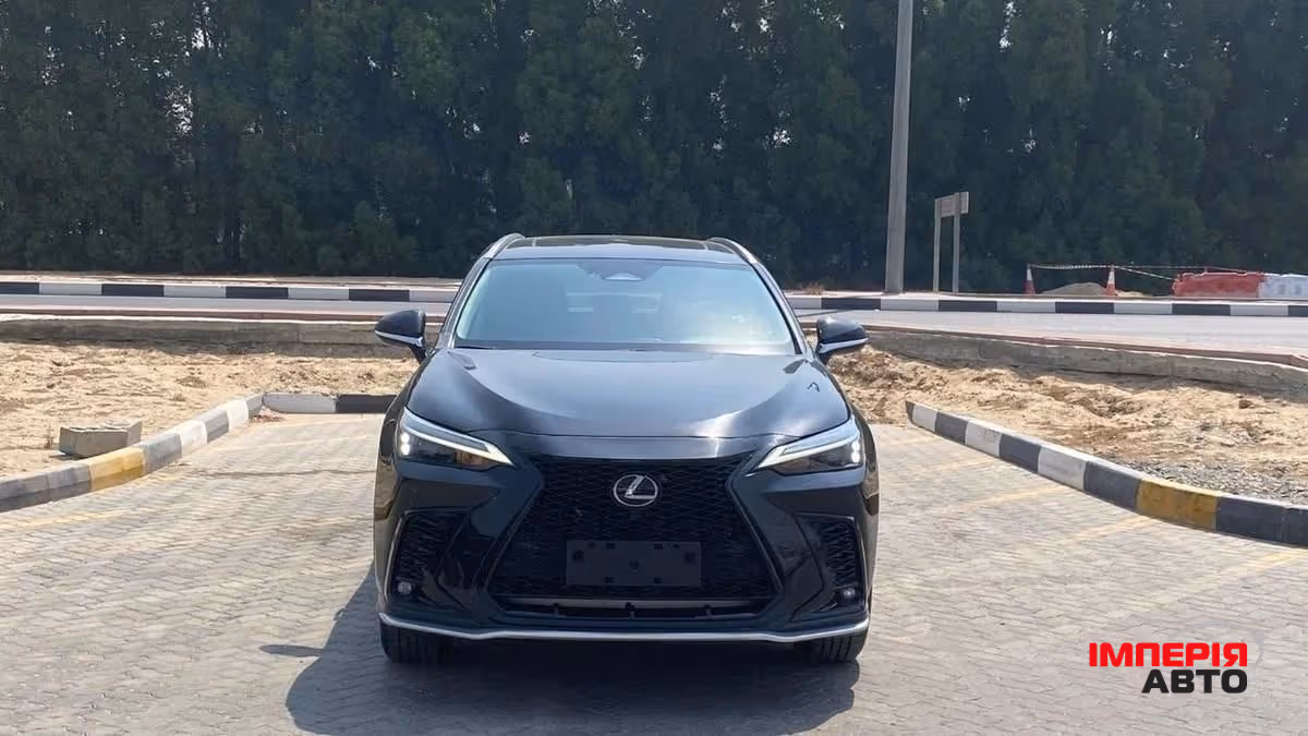 Lexus NX - фото 4