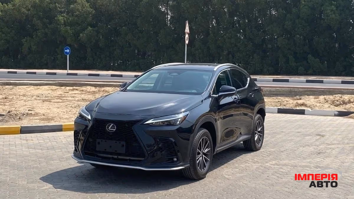 Lexus NX - фото 6