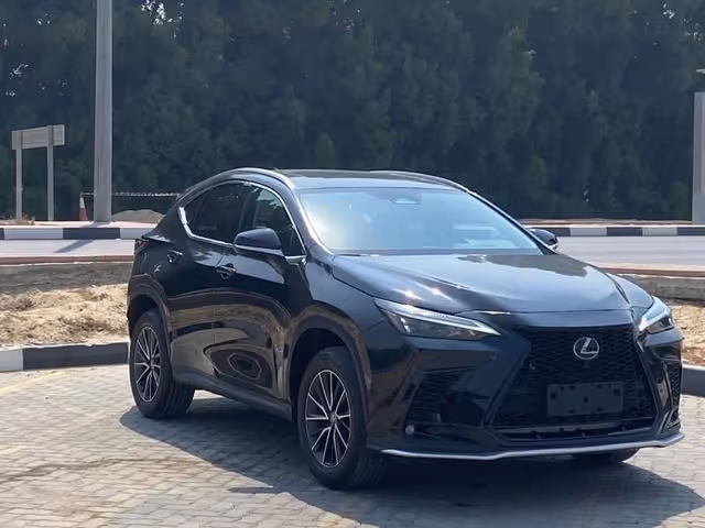 Lexus NX - фото 2
