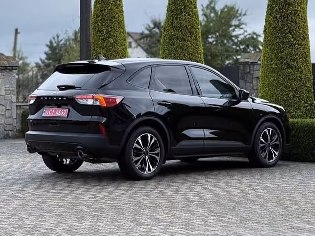 Ford Escape - фото 4