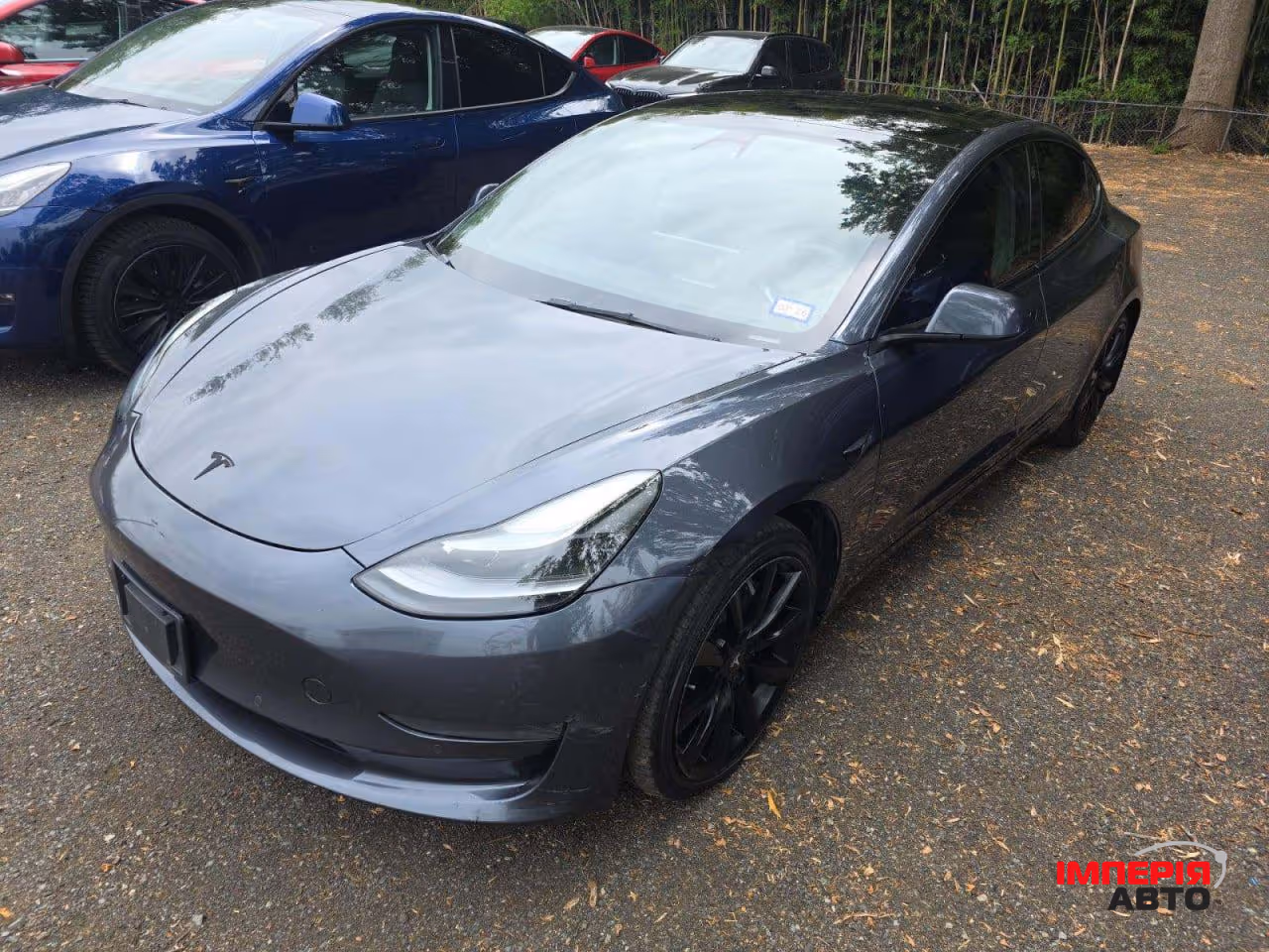 Tesla Model 3 - фото 1