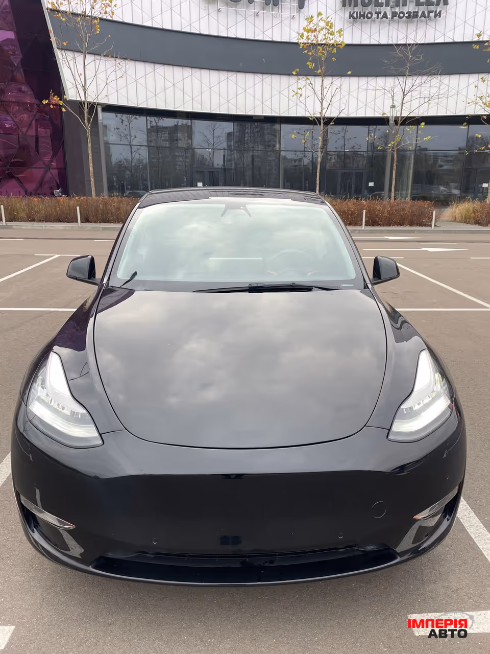 Tesla Model Y - фото 2