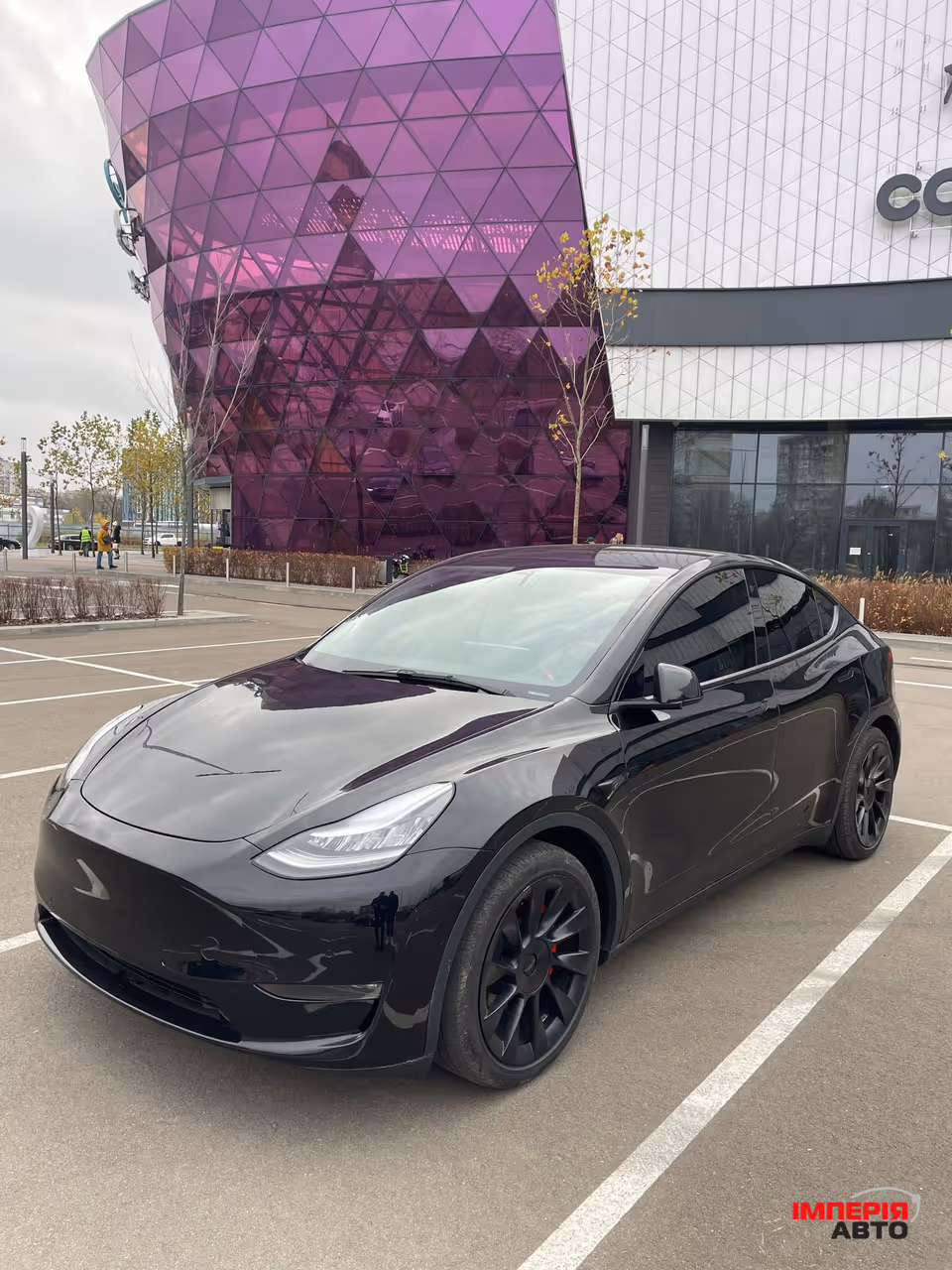 Tesla Model Y - фото 1