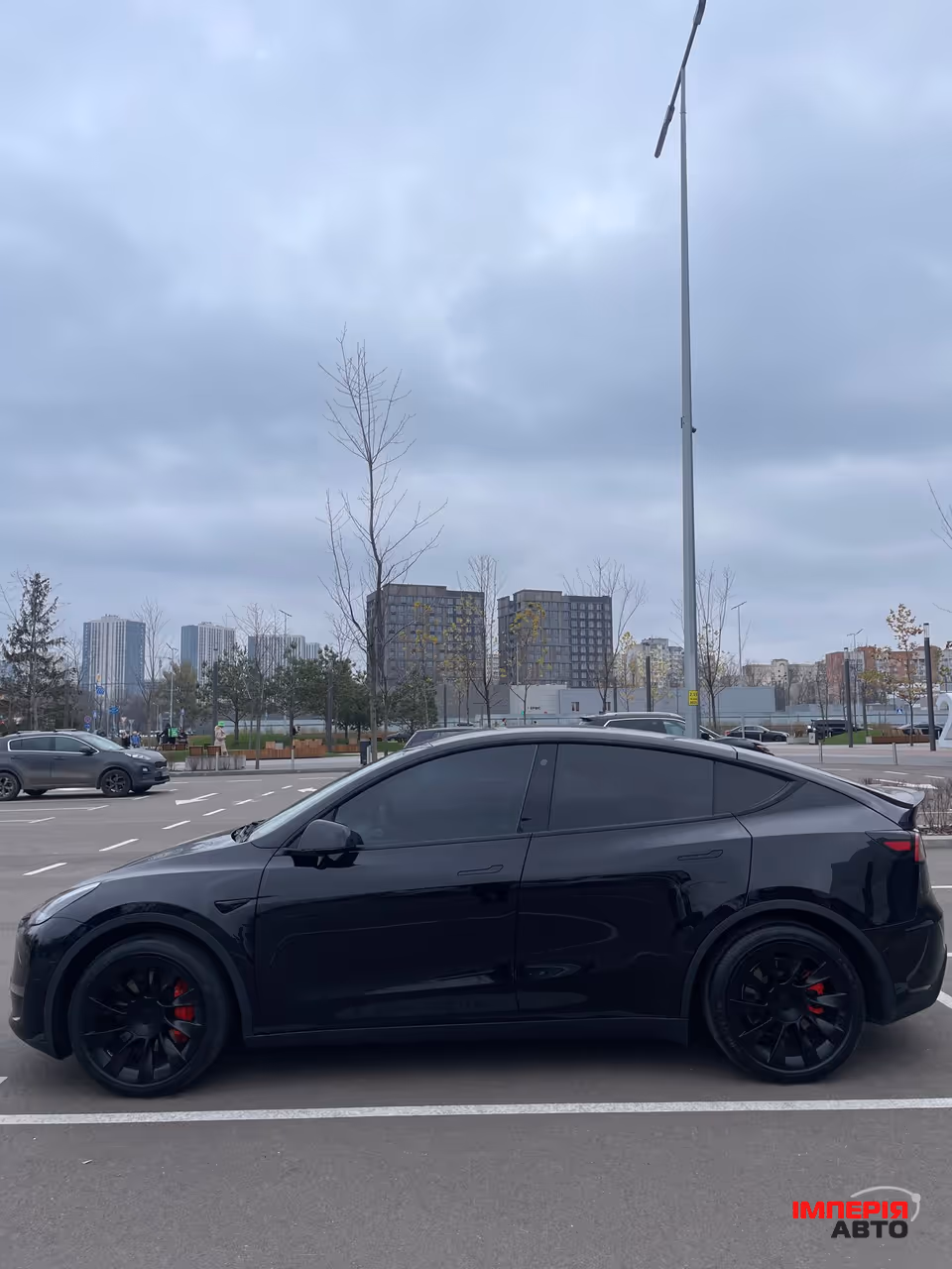 Tesla Model Y - фото 5