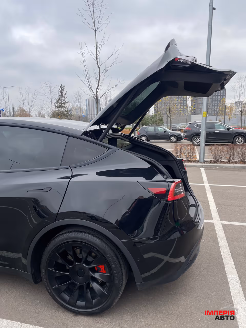 Tesla Model Y - фото 7