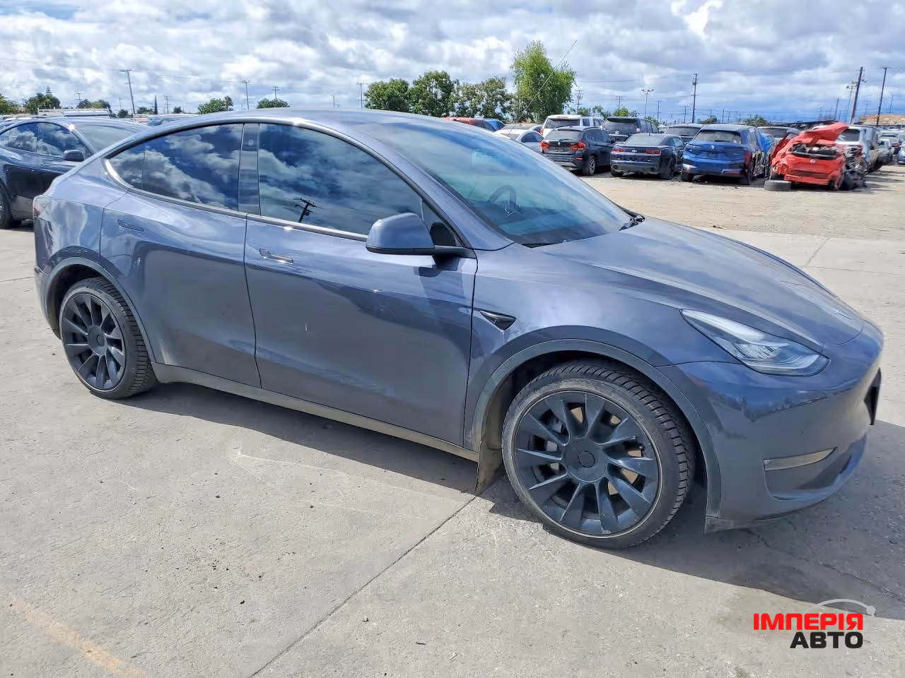 Tesla Model Y - фото 3