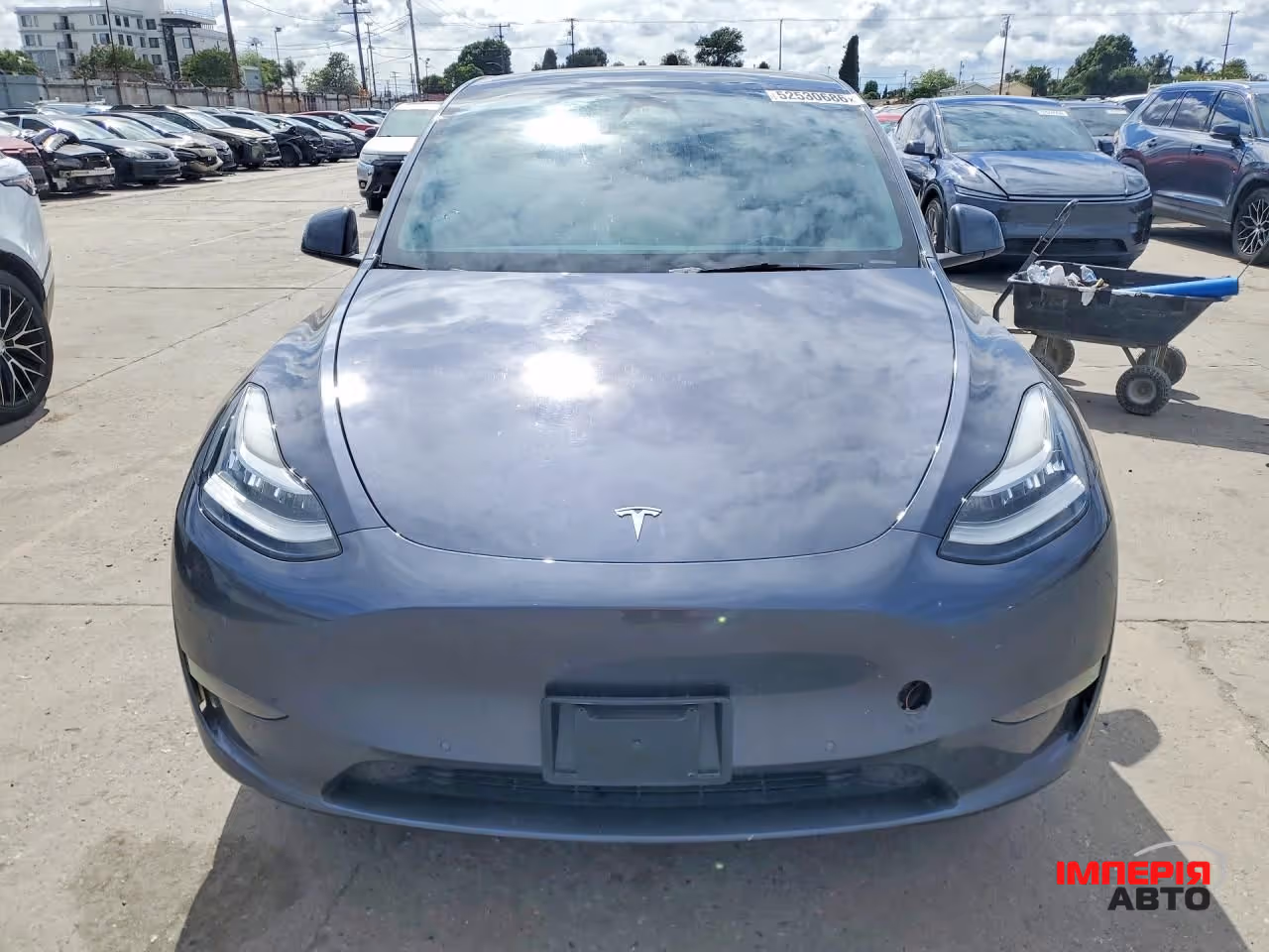Tesla Model Y - фото 1