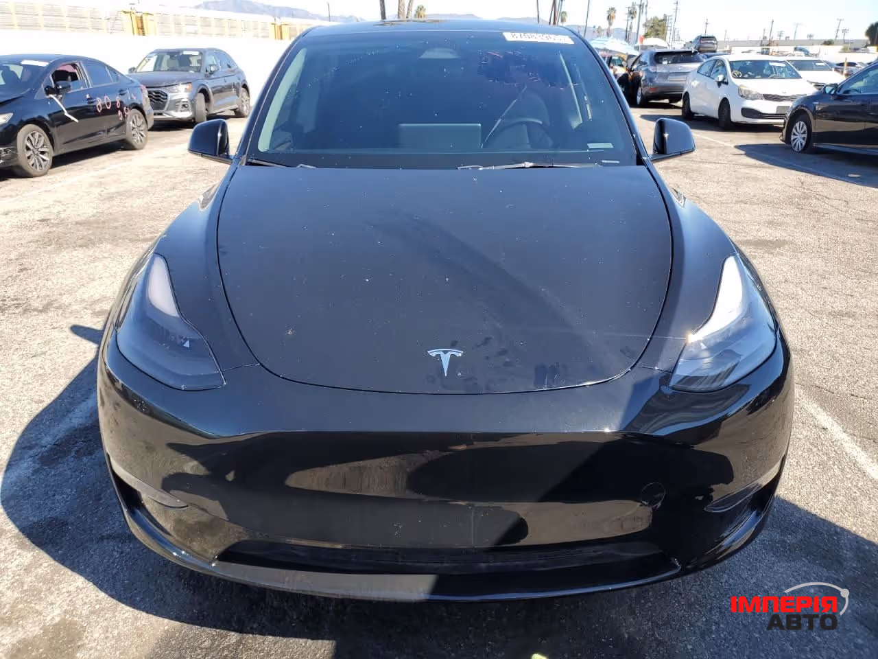 Tesla Model Y - фото 1