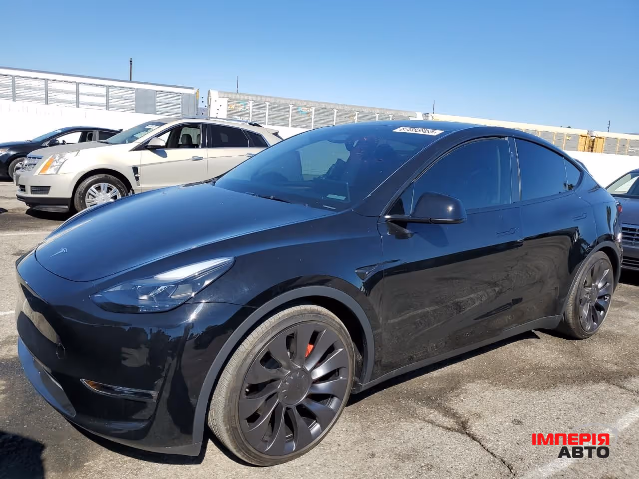 Tesla Model Y - фото 2