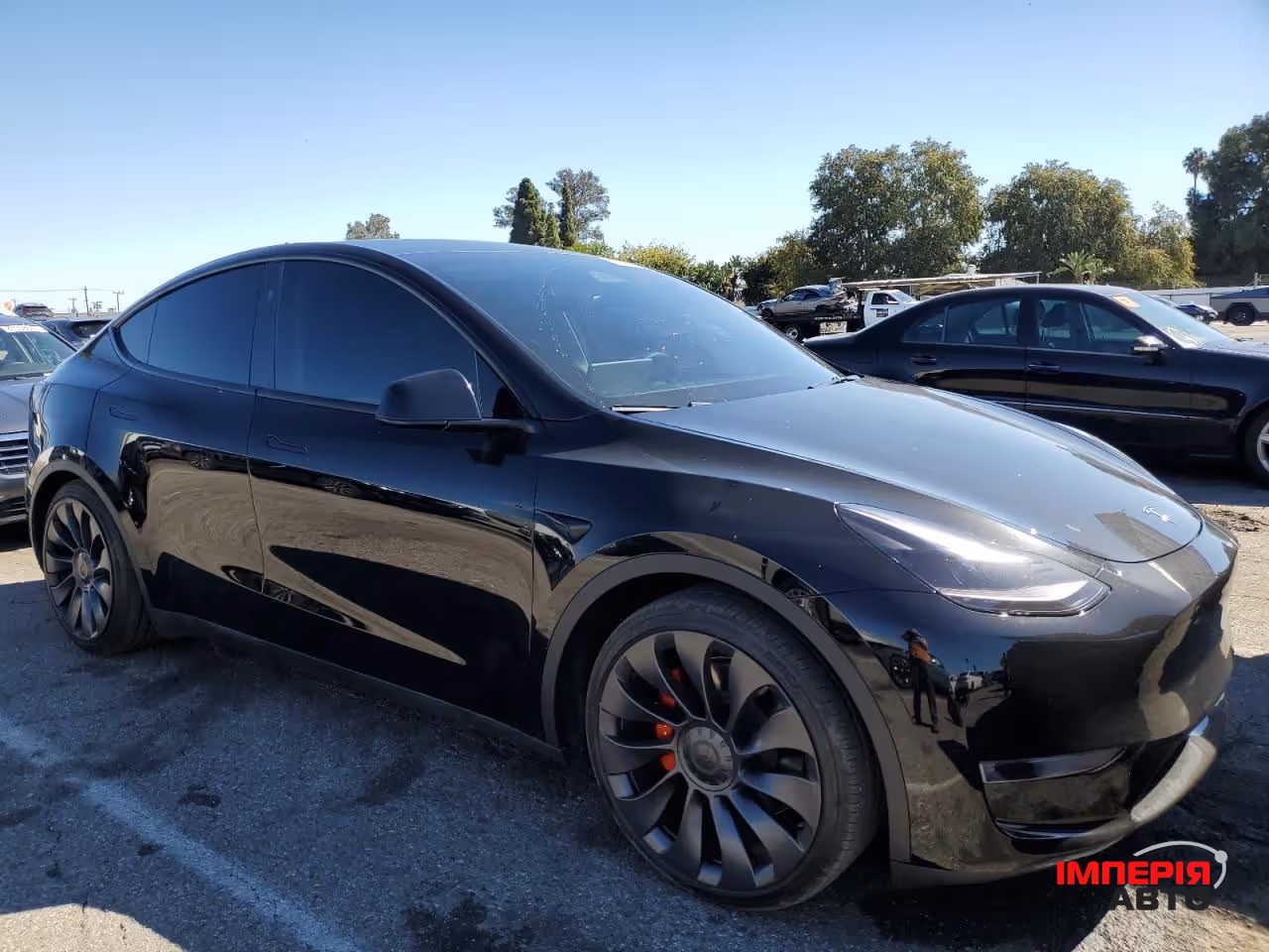 Tesla Model Y - фото 3