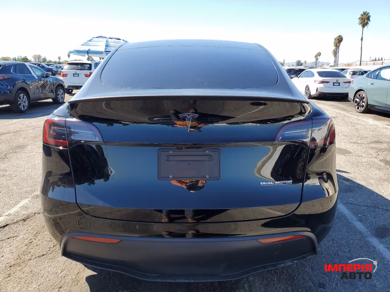 Tesla Model Y - фото 6