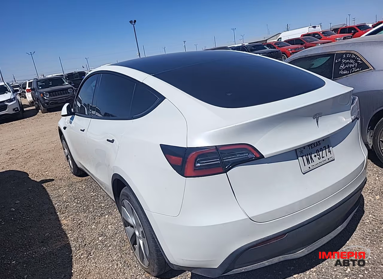 Tesla Model Y - фото 2