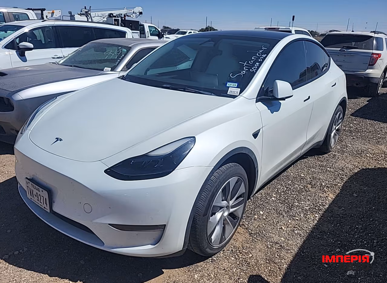 Tesla Model Y - фото 1