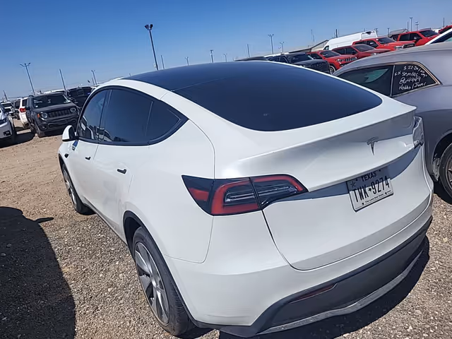 Tesla Model Y - фото 2